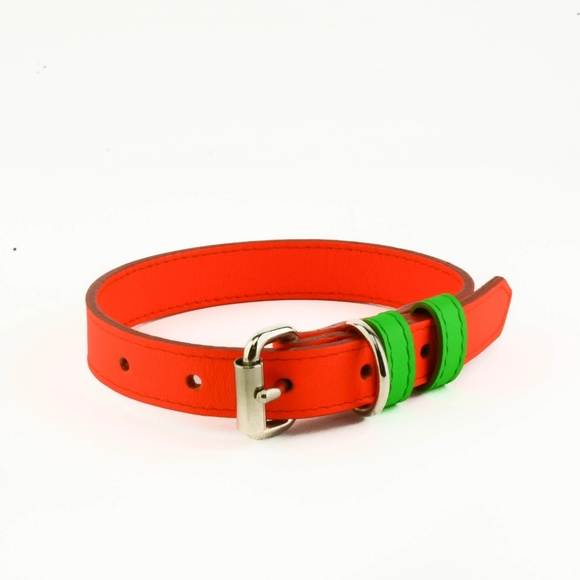 NWT dog collar
